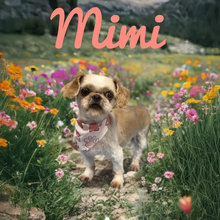Small tan and white dog named Mimi wearing a pink paw-print bandana while standing on a dirt path surrounded by colorful wildflowers.