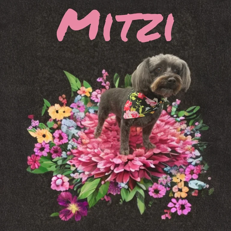 Small dark-colored dog named Mitzi wearing a floral bandana while posing on top of a vibrant pink and multicolored flower display.
