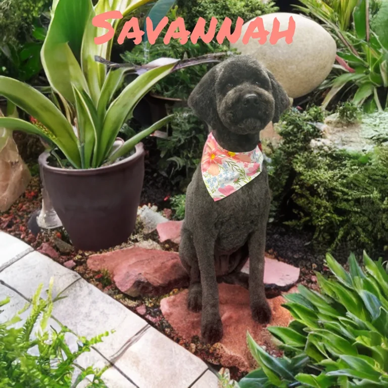 Dark-colored dog named Savannah wearing a floral bandana while sitting on red stones surrounded by vibrant garden plants.